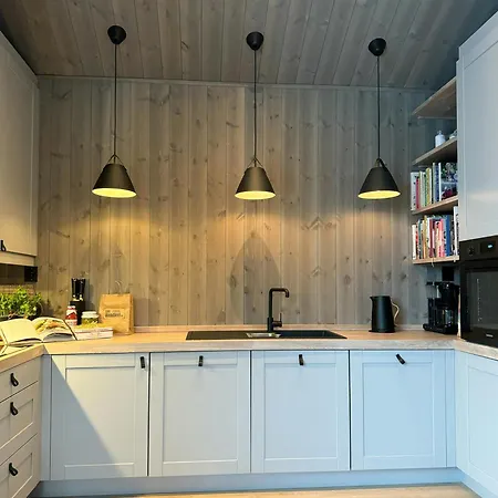 Ferienhaus Modern Family In Norefjell Ski-inout