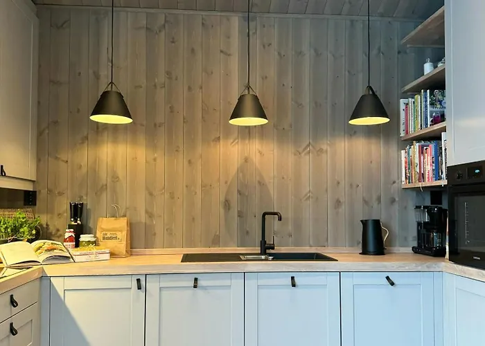 Ferienhaus Modern Family In Norefjell Ski-inout